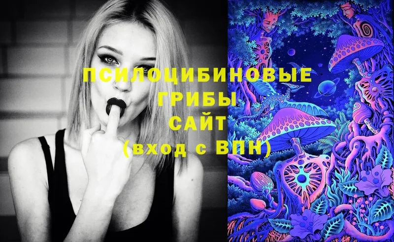 Галлюциногенные грибы Cubensis  как найти наркотики  Касли 